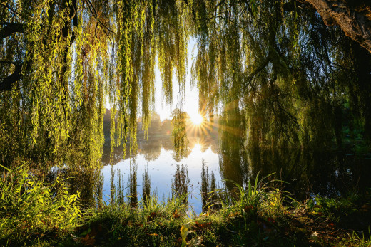 �1757374 �������(a): ����������:3400x2263